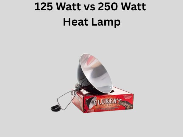 125 Watt vs 250 Watt Heat Lamp
