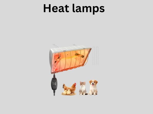 Heat lamps 