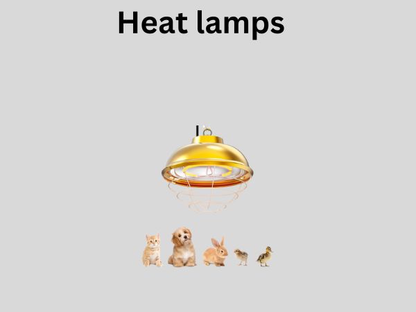 Heat lamps 