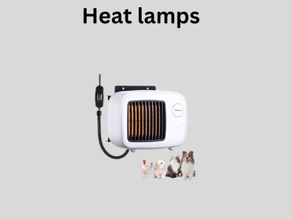 Heat lamps 