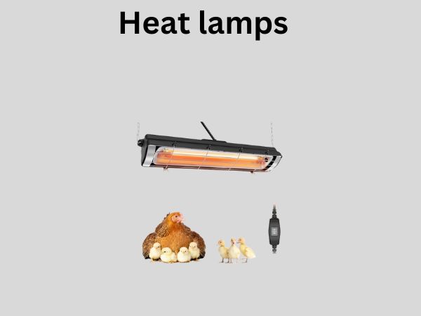 Heat lamps