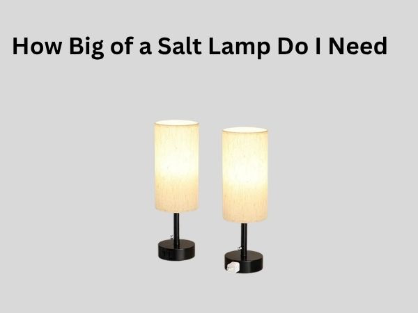 How Big of a Salt Lamp Do I Need