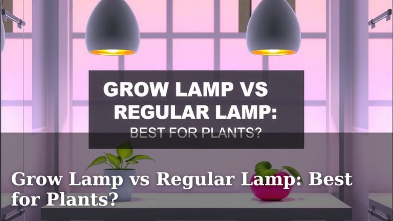 Grow Lamp vs Regular Lamp: Best for Plants?