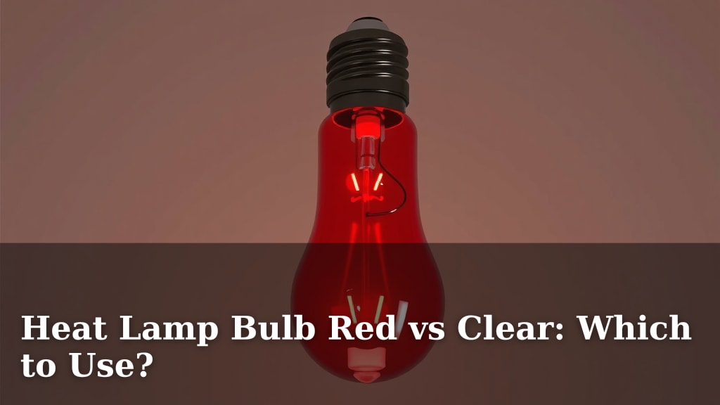 Heat Lamp Bulb Red vs Clear: Which to Use?