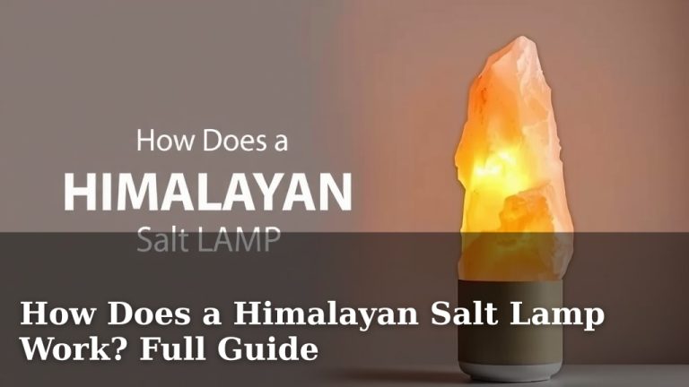 How Does a Himalayan Salt Lamp Work? Full Guide