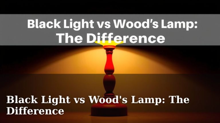 Black Light vs Wood's Lamp: The Difference