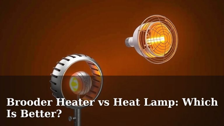Brooder Heater vs Heat Lamp: Which Is Better?