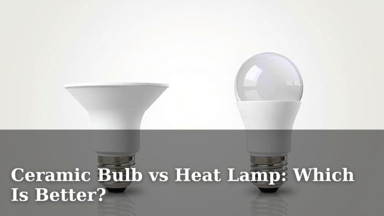 Ceramic Bulb vs Heat Lamp: Which Is Better?