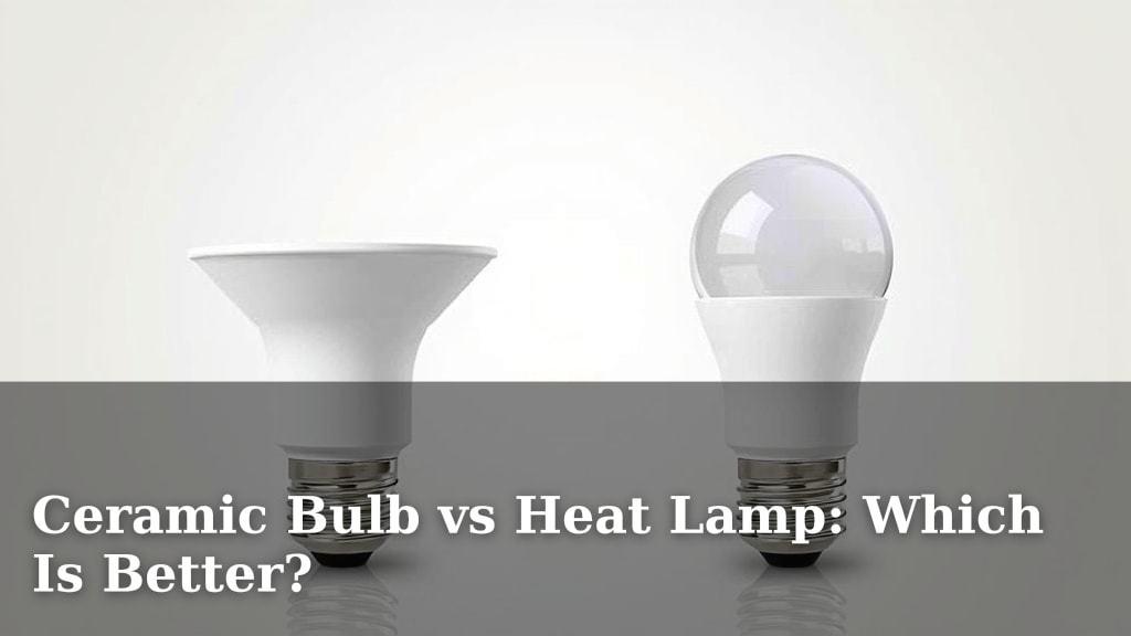 Ceramic Bulb vs Heat Lamp: Which Is Better?