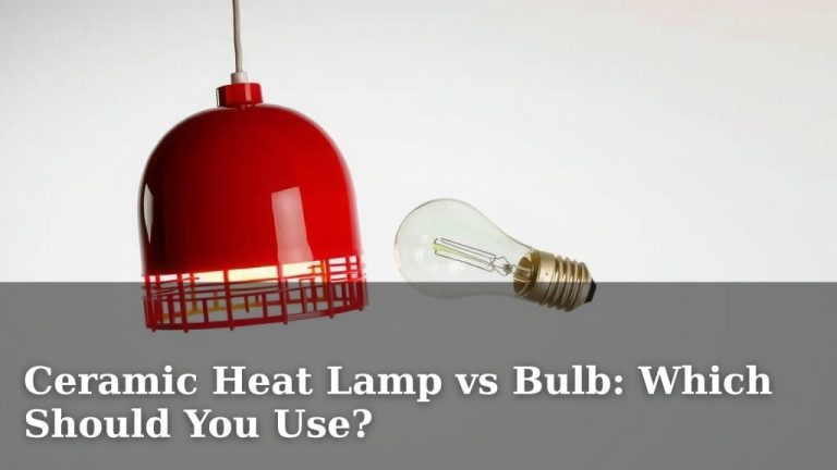 Ceramic Heat Lamp vs Bulb: Which Should You Use?