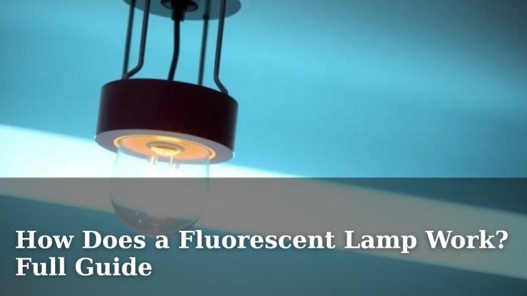 How Does a Fluorescent Lamp Work? Full Guide